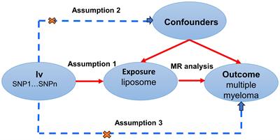 Lipid have a direct effect on multiple myeloma: a Mendelian randomization study